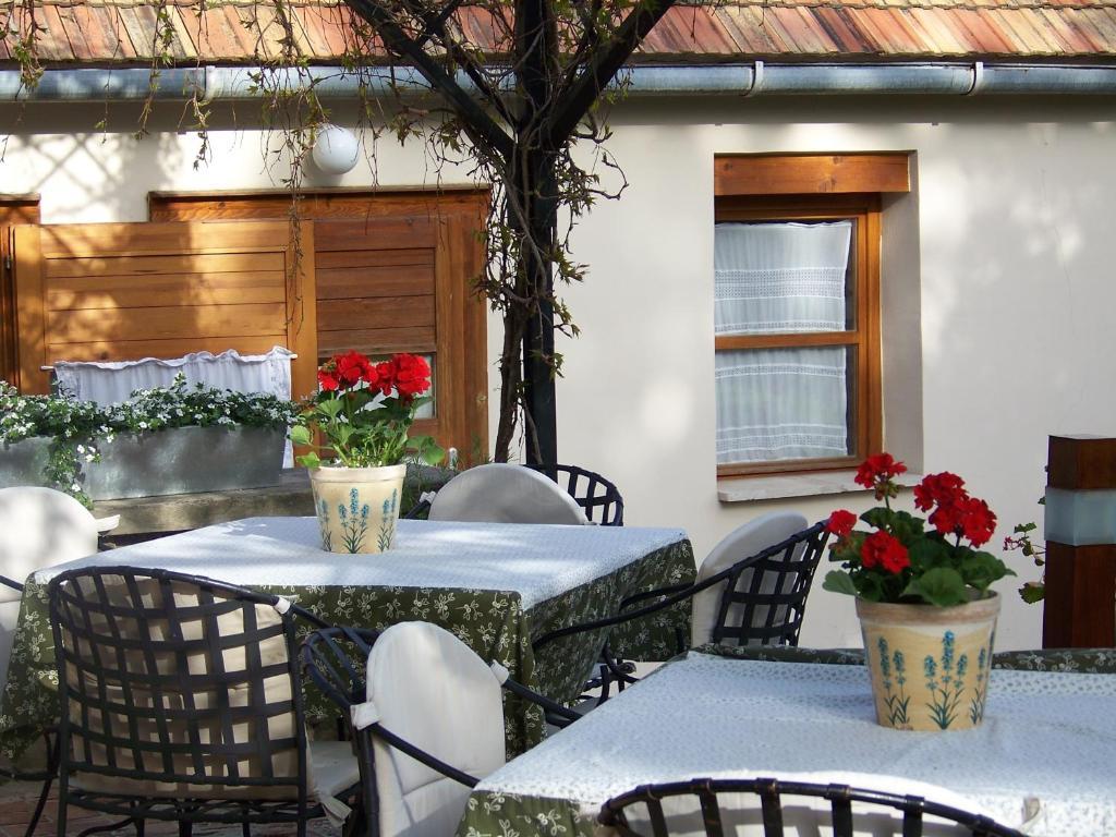 Káli Art Inn Panzió Köveskál Exterior foto